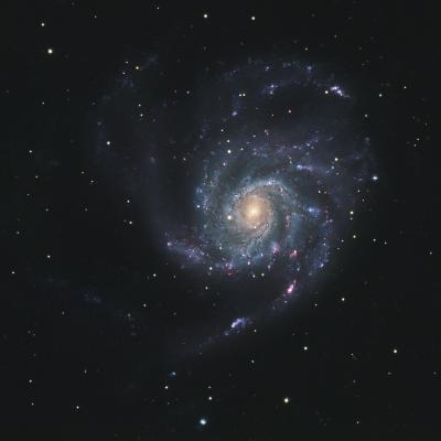 M101