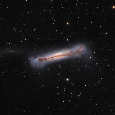 NGC3628