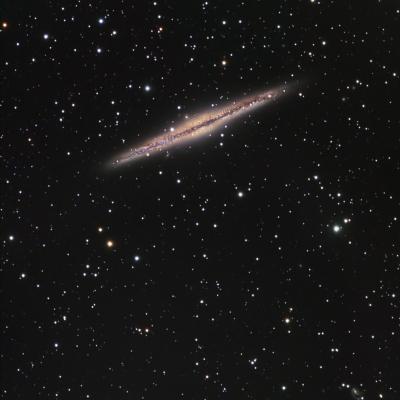 NGC891